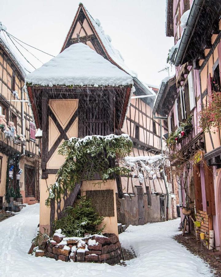 Fleur De Vigne Eguisheim Exterior foto