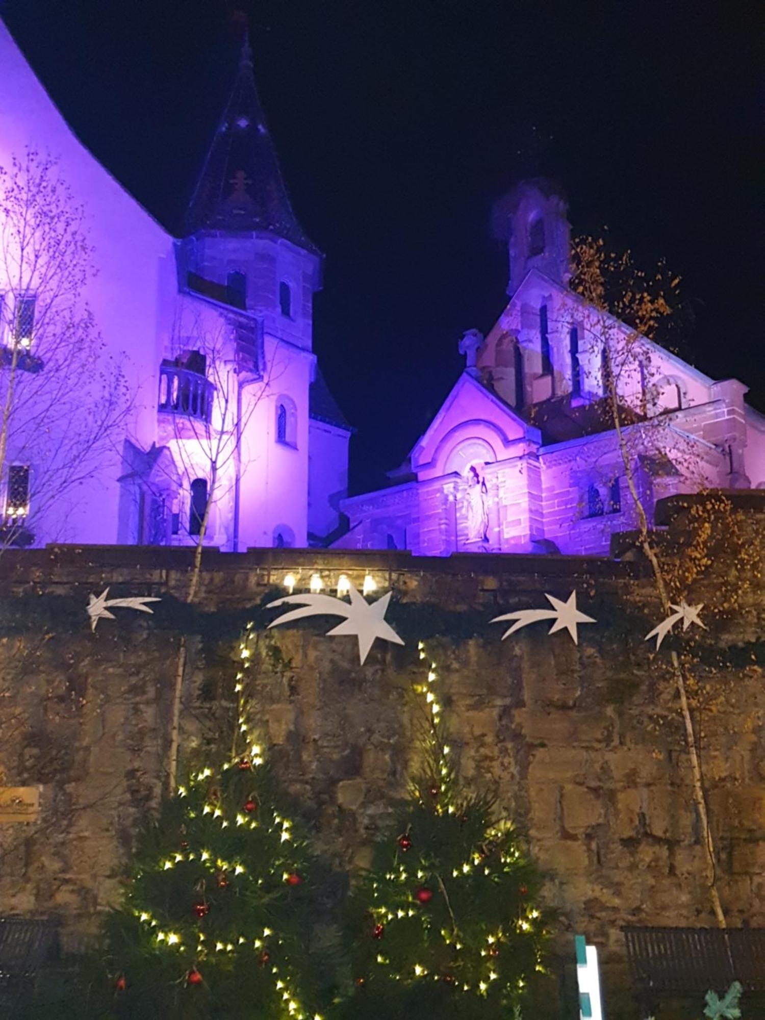 Fleur De Vigne Eguisheim Quarto foto