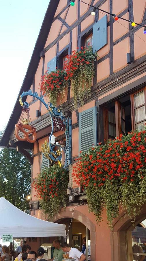 Fleur De Vigne Eguisheim Exterior foto