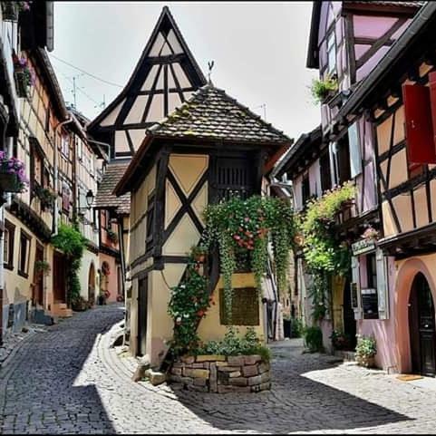 Fleur De Vigne Eguisheim Exterior foto