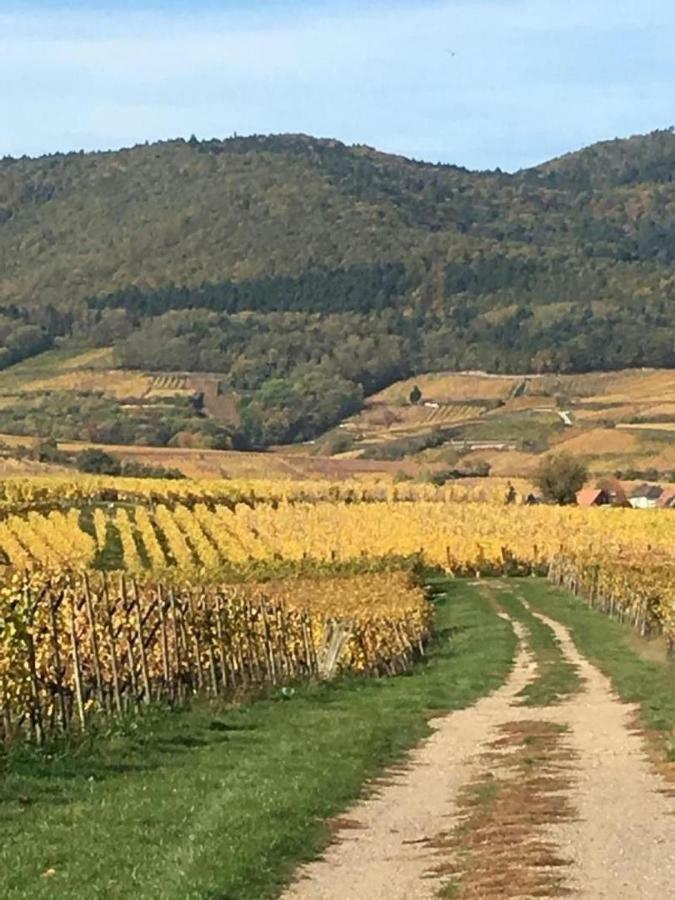 Fleur De Vigne Eguisheim Exterior foto
