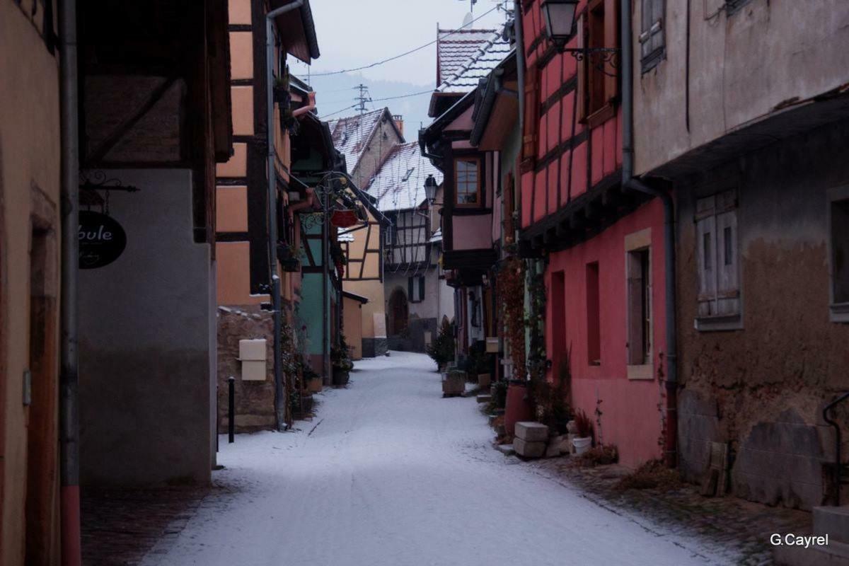 Fleur De Vigne Eguisheim Exterior foto